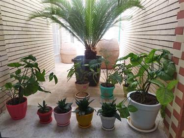 ورودی کتابخانه